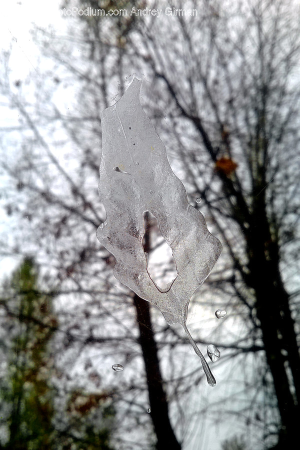 Nature, Outdoors, Ice, Snow, Winter