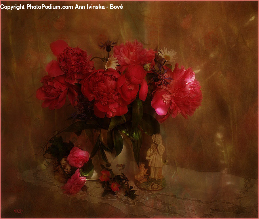 People, Person, Human, Plant, Potted Plant, Floral Design, Flower