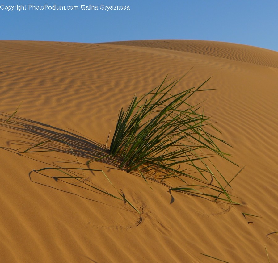 Soil, Sand, Outdoors, Nature, Dune