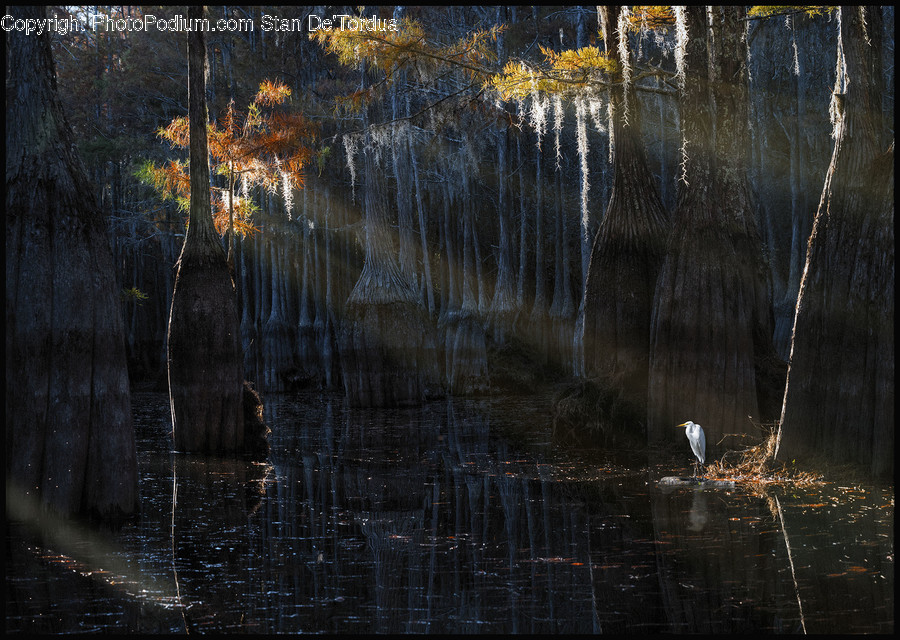 Nature, Outdoors, Water, Painting, Art