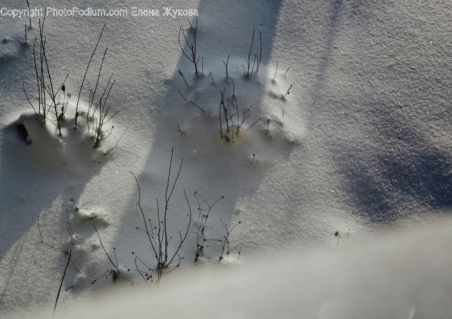 Puddle, Nature, Outdoors, Land, Snow