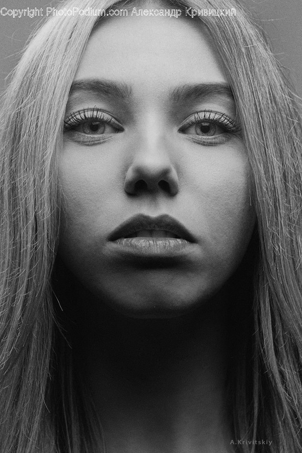 Person, Face, Human, Head, Portrait