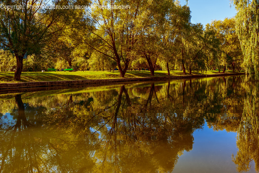 Water, Nature, Outdoors, Land, Plant