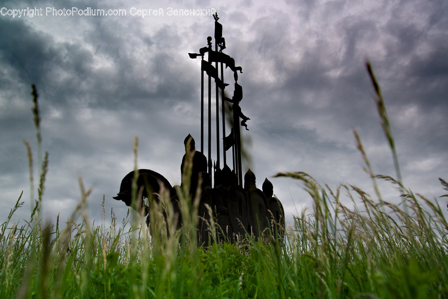 Grass, Plant, Grassland, Outdoors, Field
