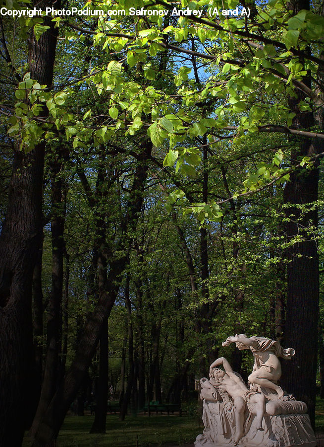 Forest, Jungle, Rainforest, Vegetation, Art, Sculpture, Statue