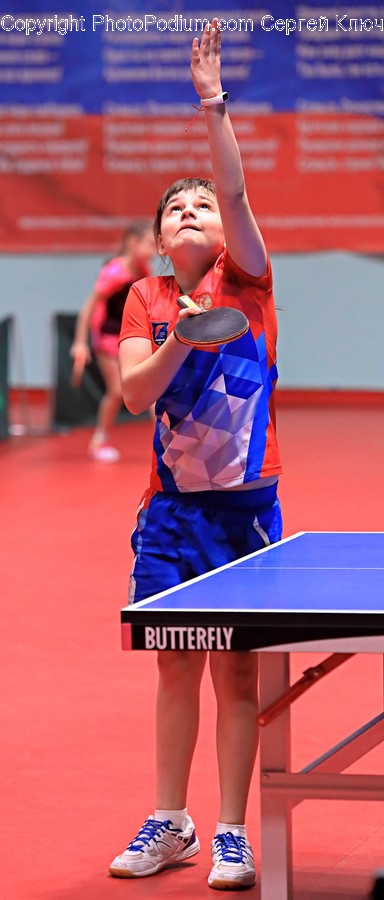 Human, Person, Ping Pong, Sport, Sports