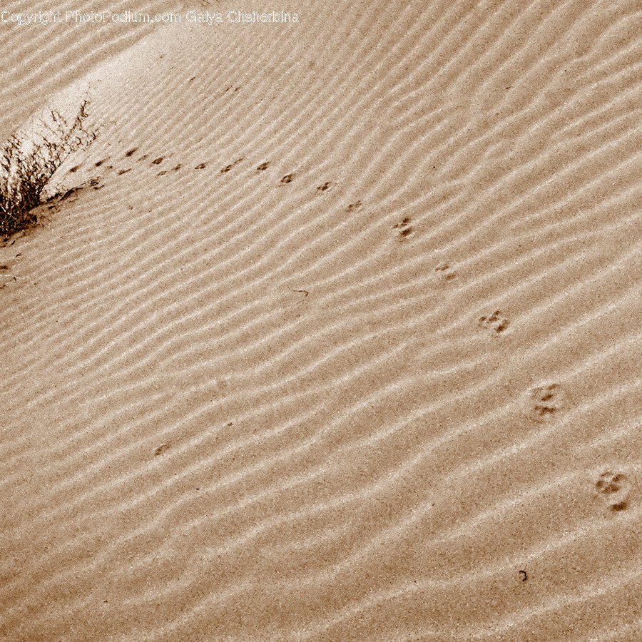Soil, Nature, Sand, Outdoors, Dune