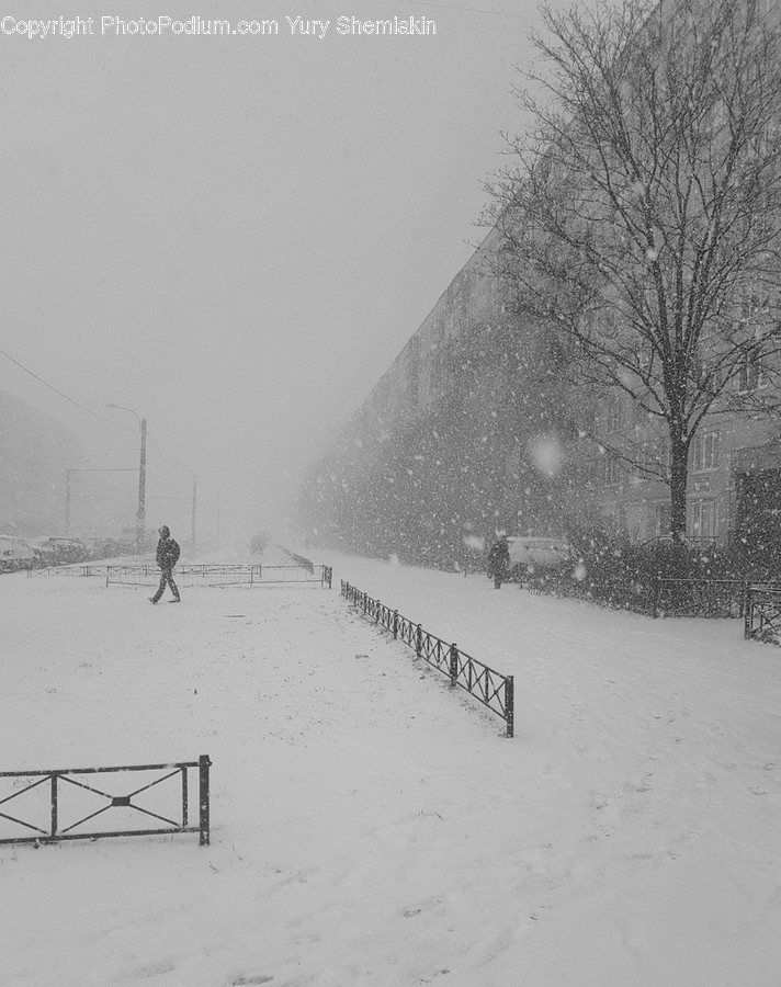 Nature, Human, Person, Outdoors, Snow