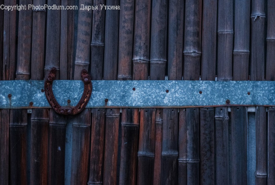 Plant, Rust