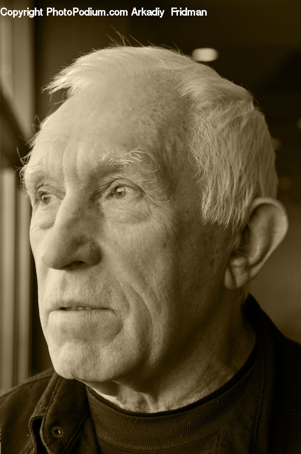 People, Person, Human, Portrait, Head, Face