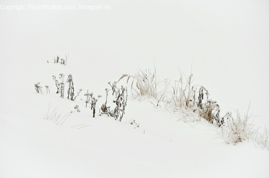 Nature, Outdoors, Winter, Snow, Weather