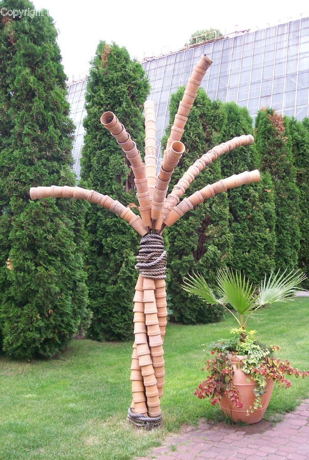 Plant, Tree, Outdoors, Yard, Nature