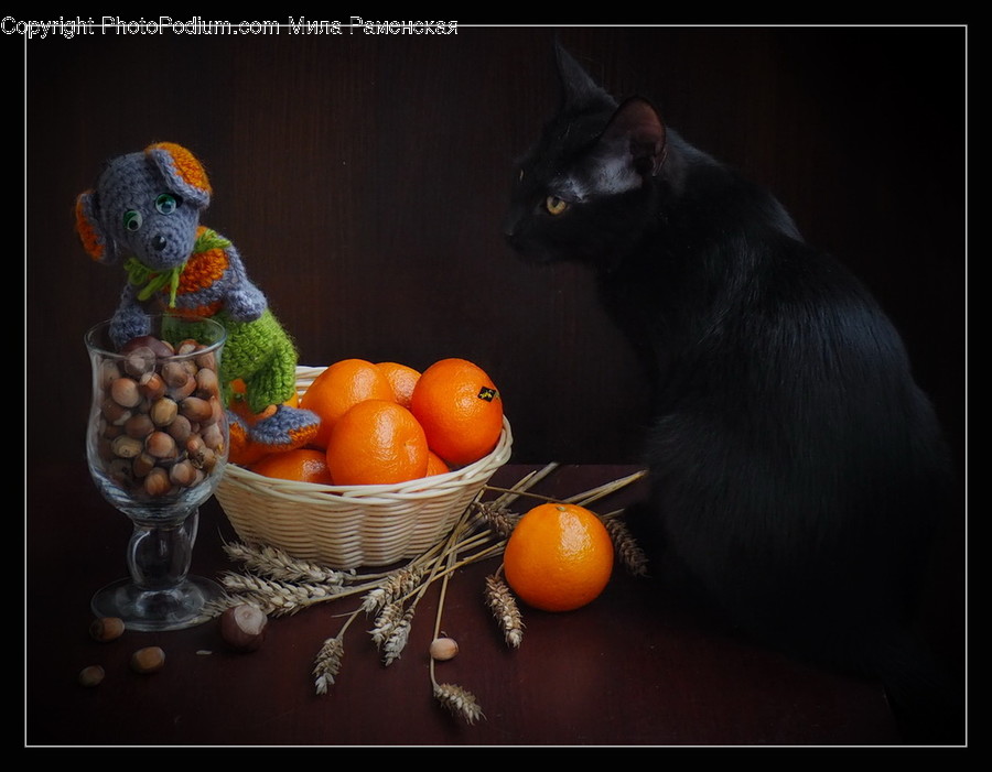 Plant, Food, Fruit, Citrus Fruit, Animal