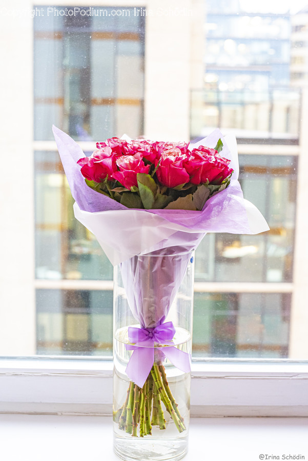 Plant, Blossom, Flower Bouquet, Flower, Flower Arrangement