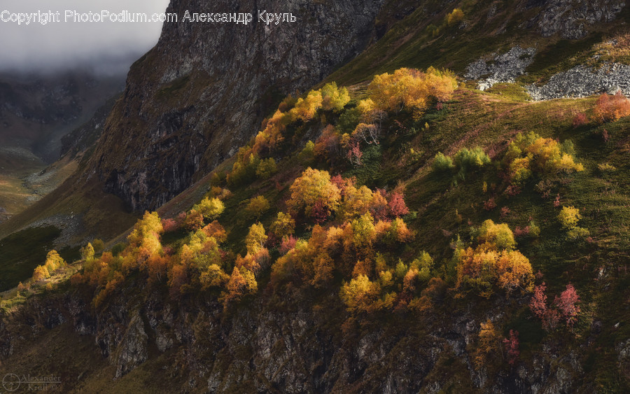 Nature, Slope, Outdoors, Painting, Art