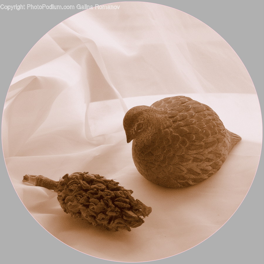Sweets, Food, Confectionery, Plant, Vegetable