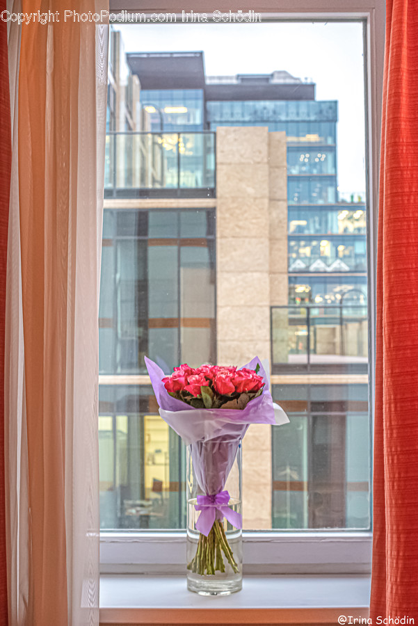 Plant, Home Decor, Flower, Blossom, Flower Bouquet
