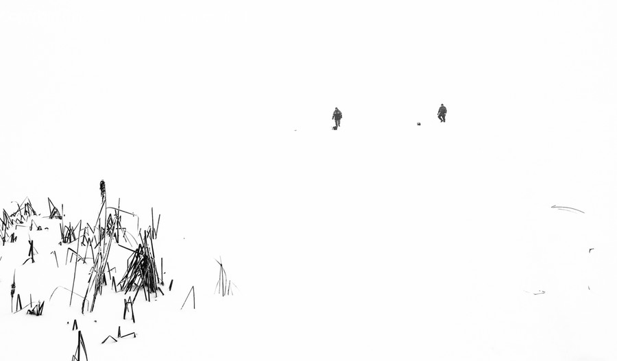 Person, Human, Animal, Bird, Drawing