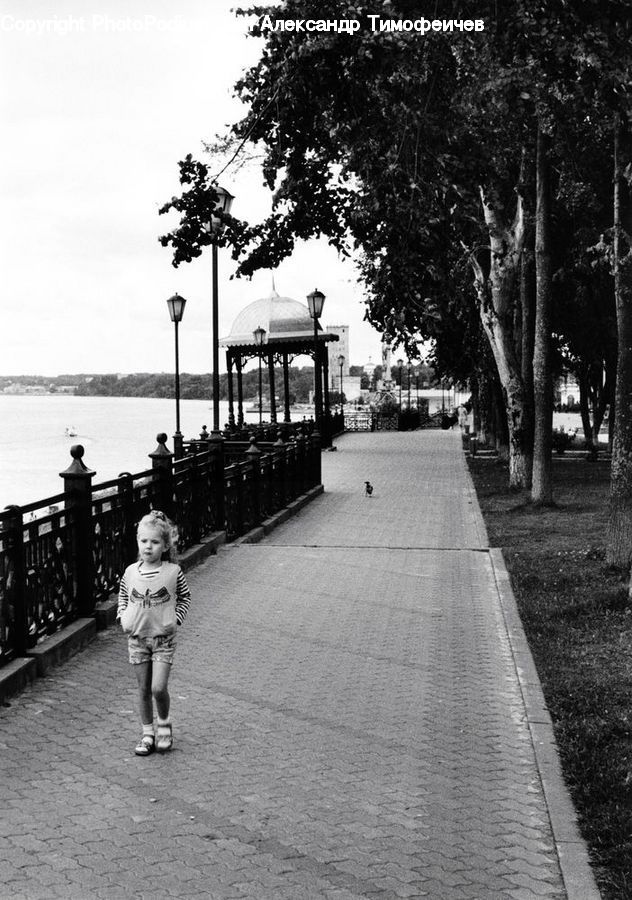 Bench, Boardwalk, Path, Pavement, Sidewalk, Walkway, Dock