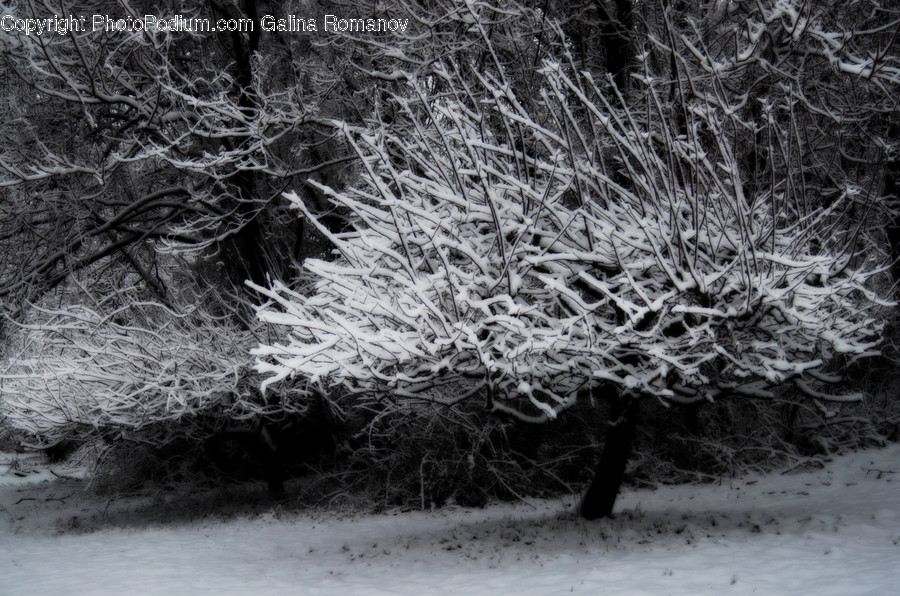 Nature, Outdoors, Ice, Snow, Frost