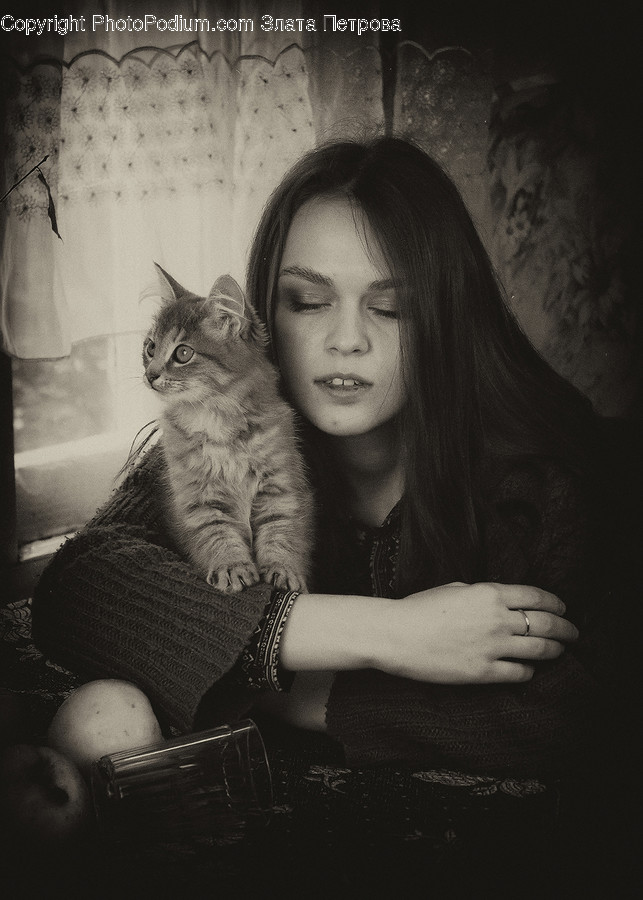 Human, Person, Pet, Cat, Animal