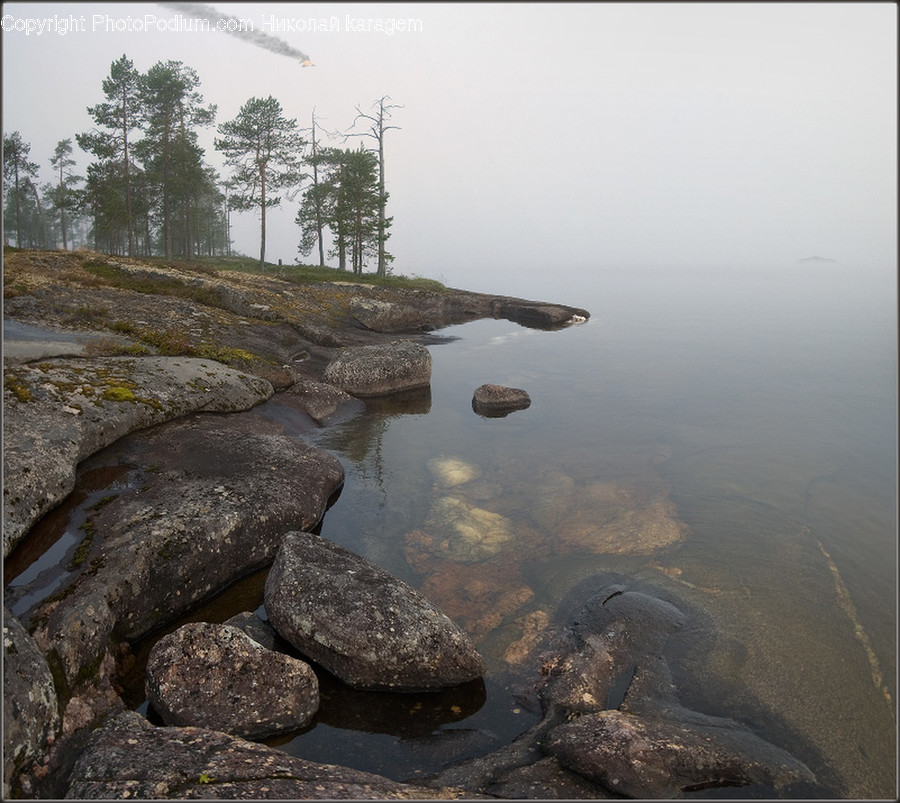 Promontory, Nature, Plant, Water, Outdoors