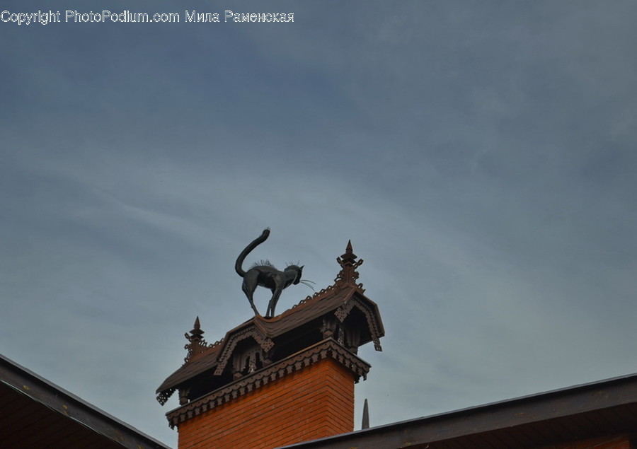 Animal, Bird, Architecture, Building, Roof