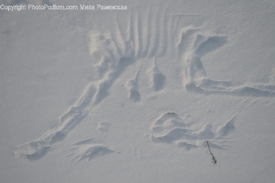 Outdoors, Nature, Snow, Footprint