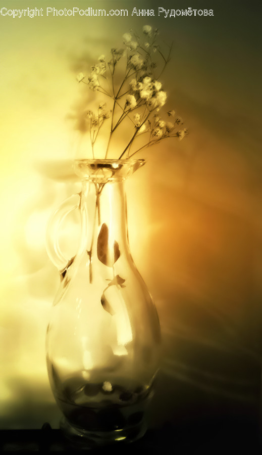 Light, Lighting, Plant, Jar, Pottery