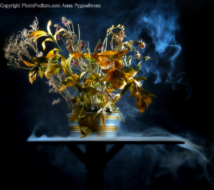 Plant, Flower, Blossom, Flower Arrangement, Flower Bouquet