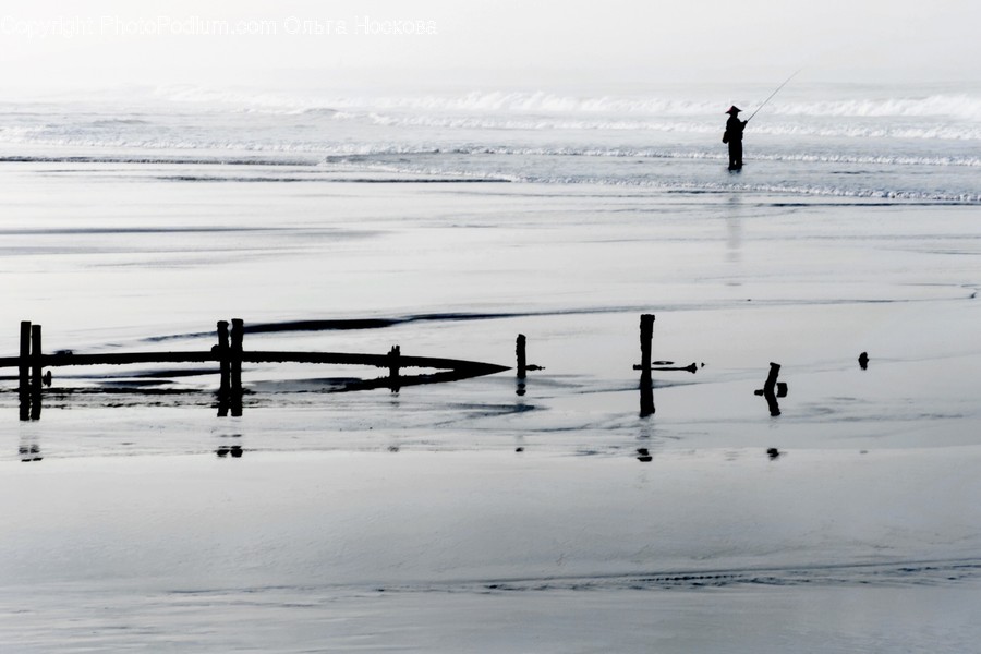 Human, Person, Outdoors, Water, Bird
