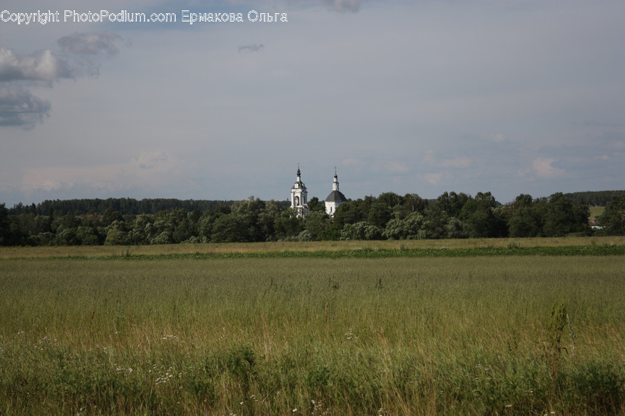 Steeple, Building, Spire, Tower, Architecture
