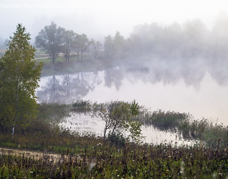 Nature, Weather, Outdoors, Fog, Mist
