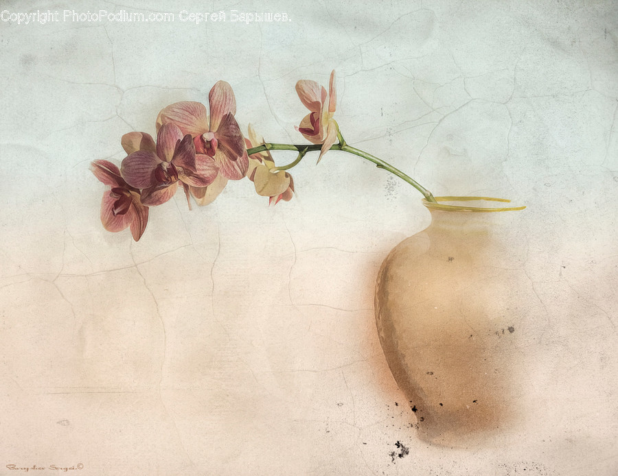 Vase, Pottery, Jar, Ornament, Ikebana