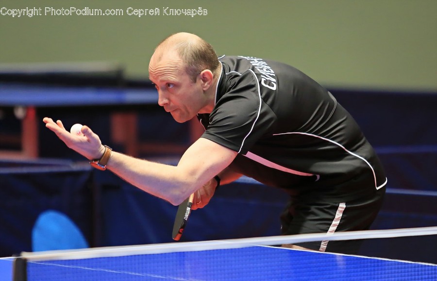 Human, Person, Ping Pong, Sport, Sports