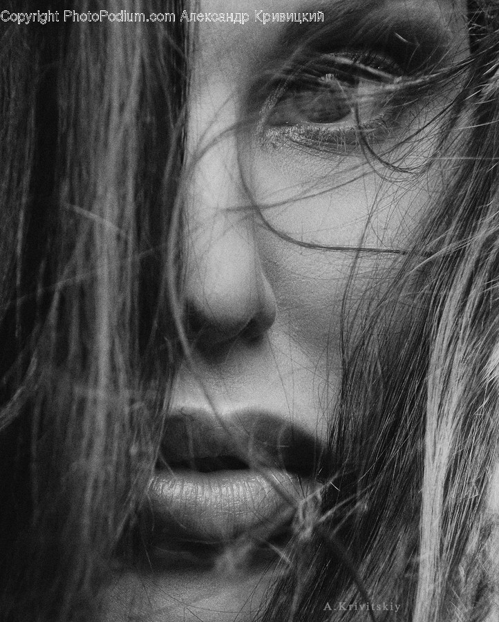 Human, Face, Person, Skin, Hair