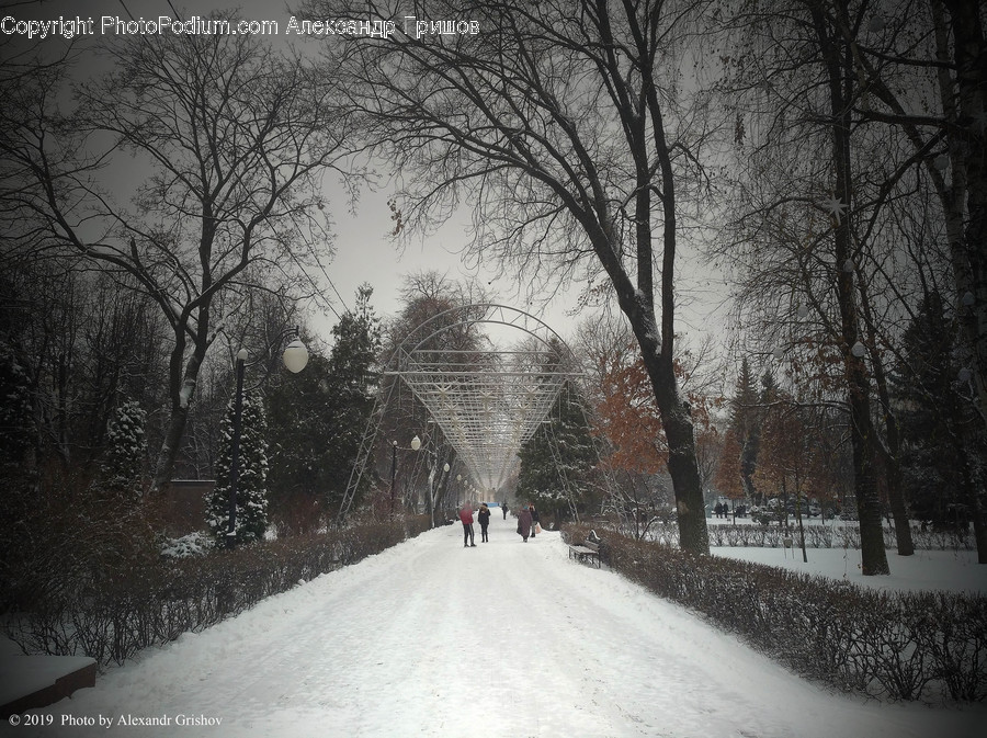 Nature, Outdoors, Person, Human, Snow