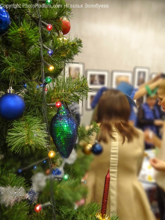 Tree, Plant, Ornament, Christmas Tree, Human