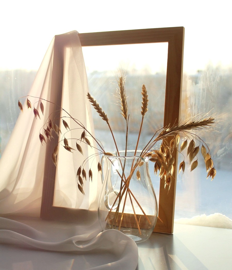 Clothing, Apparel, Plant, Nature, Grass