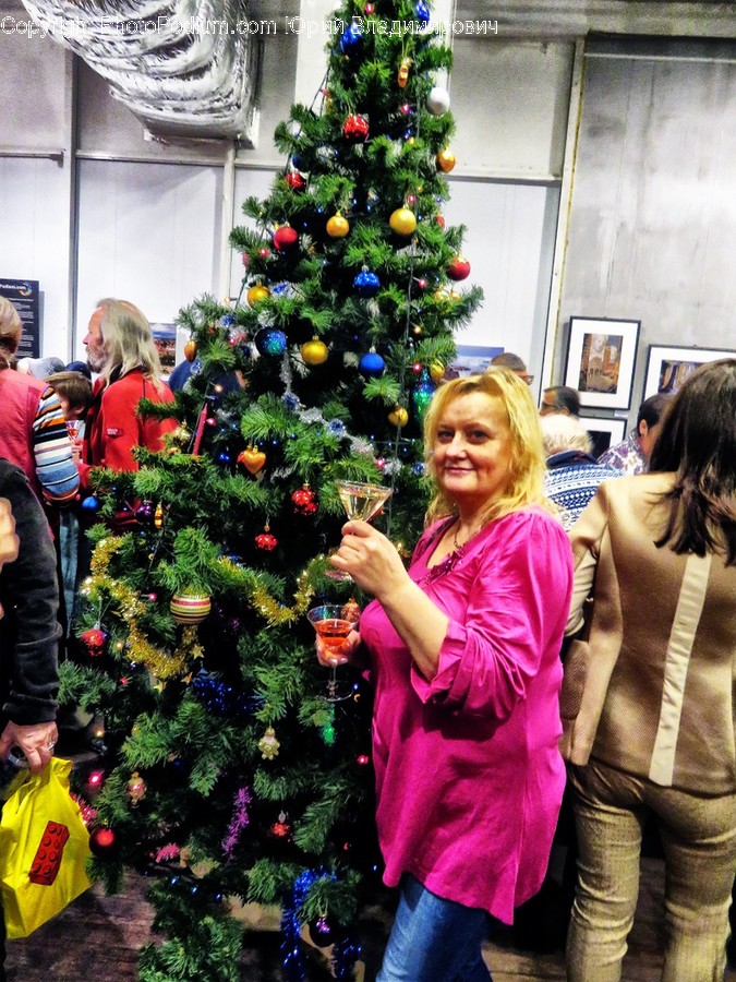 Tree, Plant, Person, Human, Ornament