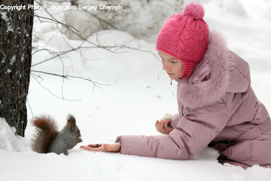 Animal, Mammal, Rodent, Squirrel, People, Person, Human