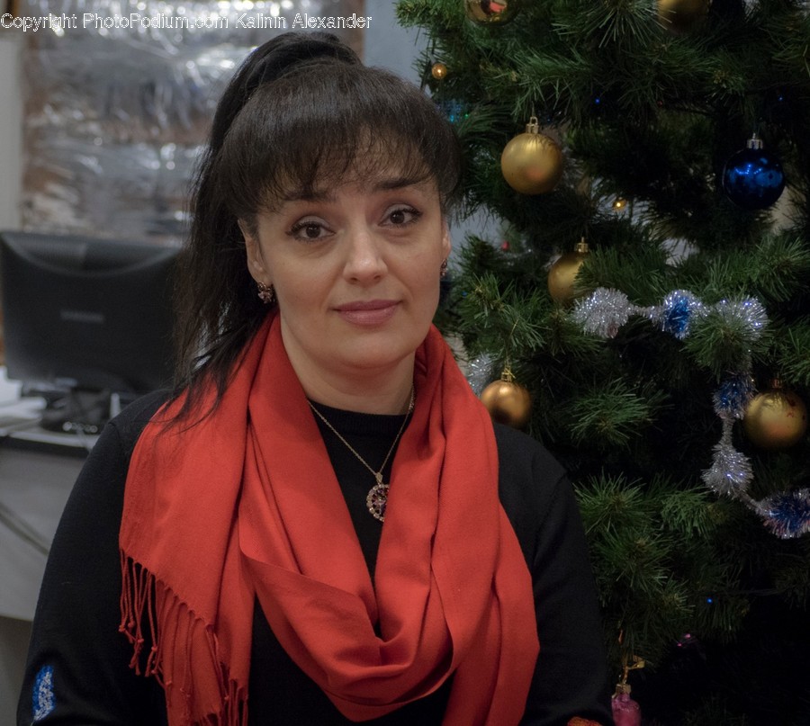 Human, Person, Tree, Plant, Fir
