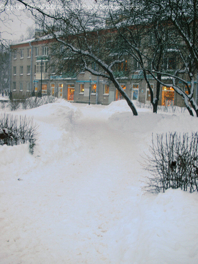 Nature, Outdoors, Snow, Winter, Blizzard