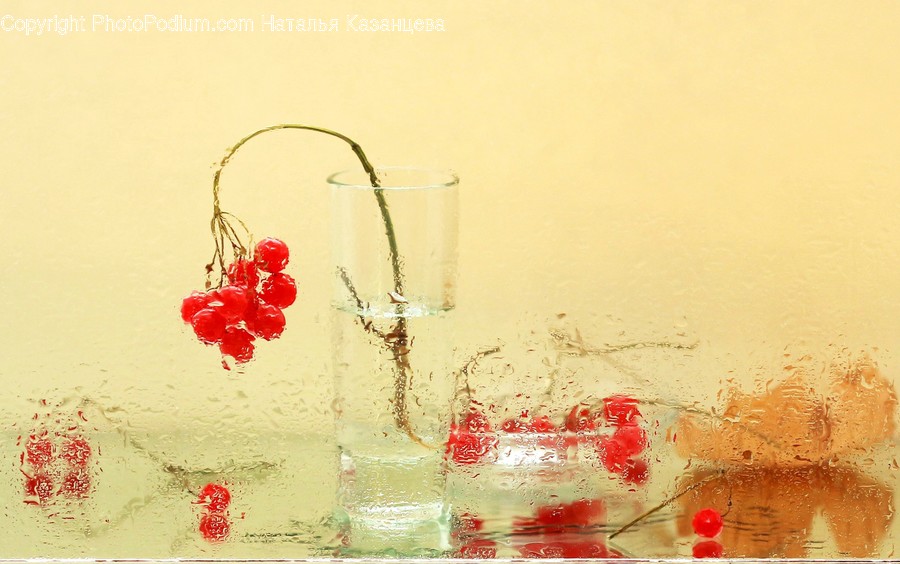 Glass, Goblet, Plant, Painting, Art