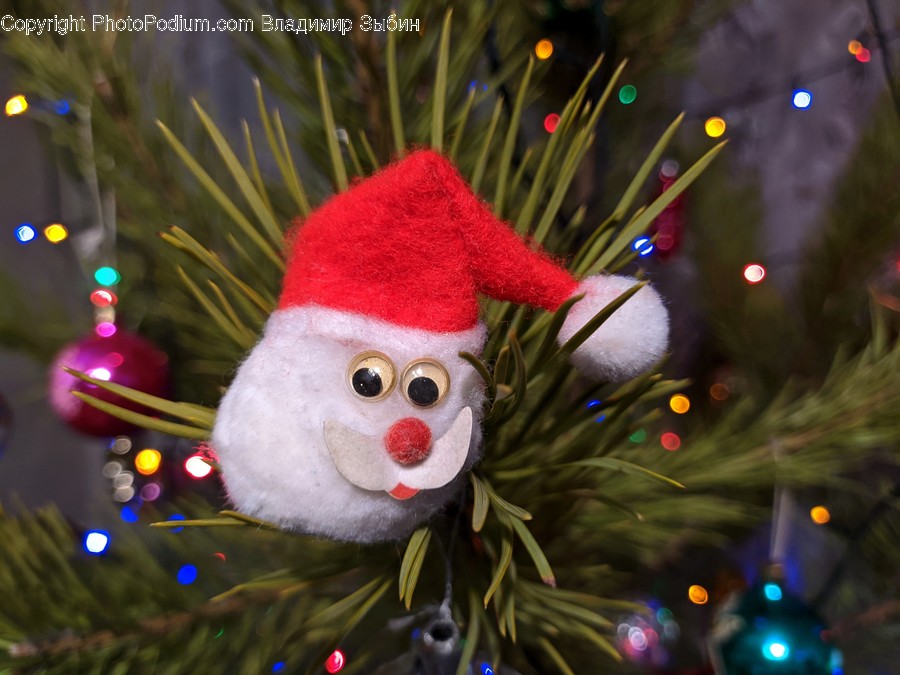 Ornament, Plant, Tree, Animal, Bird