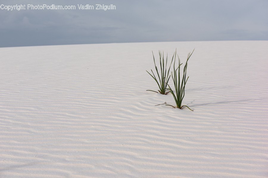 Soil, Sand, Nature, Outdoors, Dune