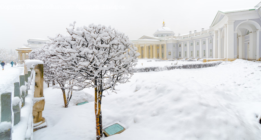 Nature, Outdoors, Human, Person, Snow