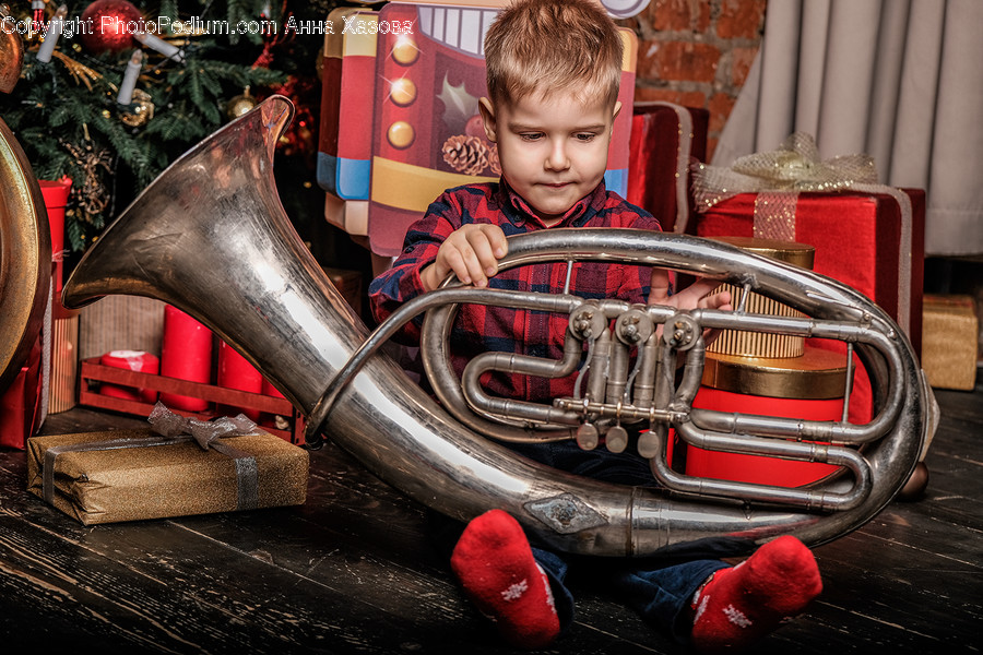 Musical Instrument, Horn, Brass Section, Human, Person