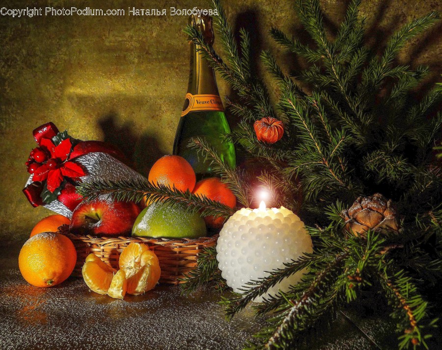 Plant, Food, Produce, Vegetable, Pumpkin