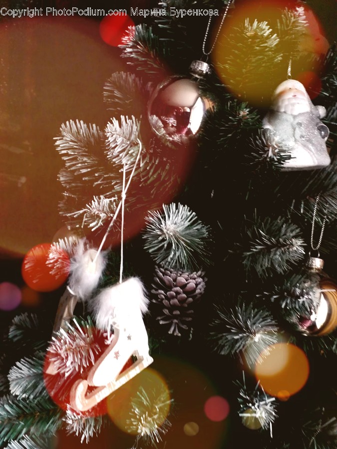 Plant, Tree, Christmas Tree, Ornament, Lighting